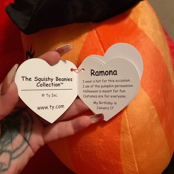 The squishy, beanies collection, Ramona, which pumpkin - Picture 6 of 7